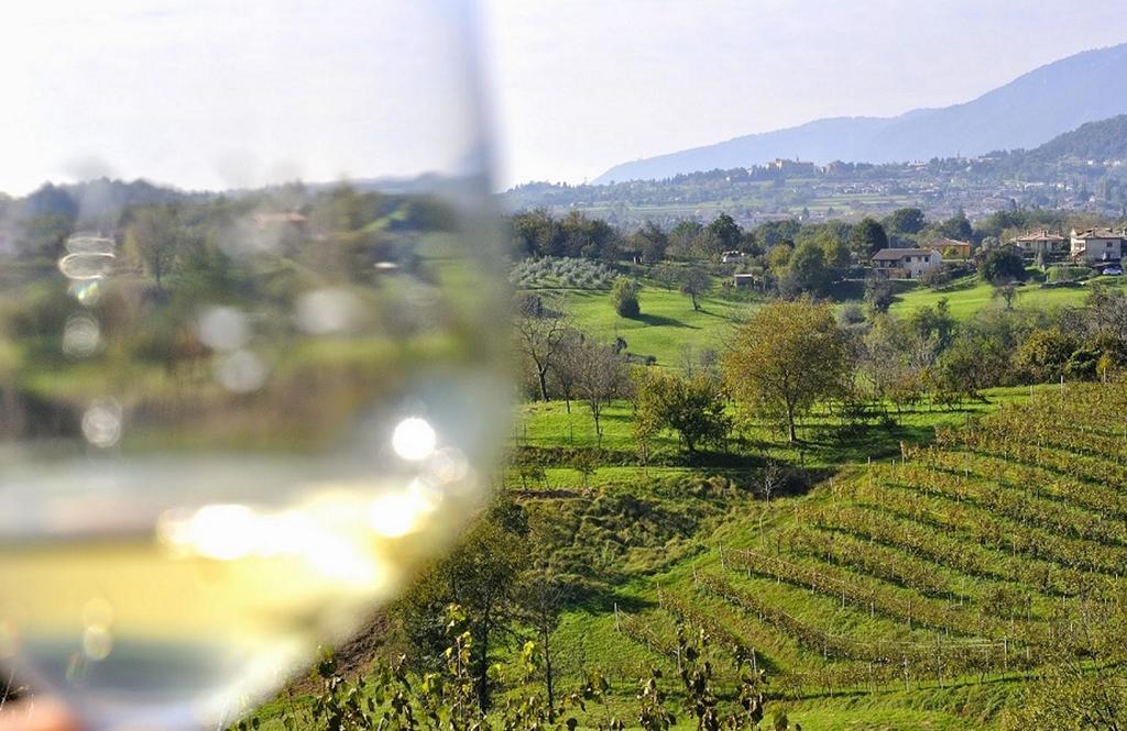 Wine Hotel San Giacomo Activity & Wellness Paderno del Grappa Ngoại thất bức ảnh