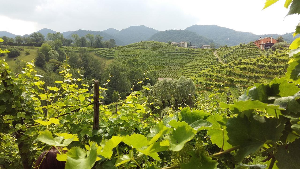 Wine Hotel San Giacomo Activity & Wellness Paderno del Grappa Ngoại thất bức ảnh